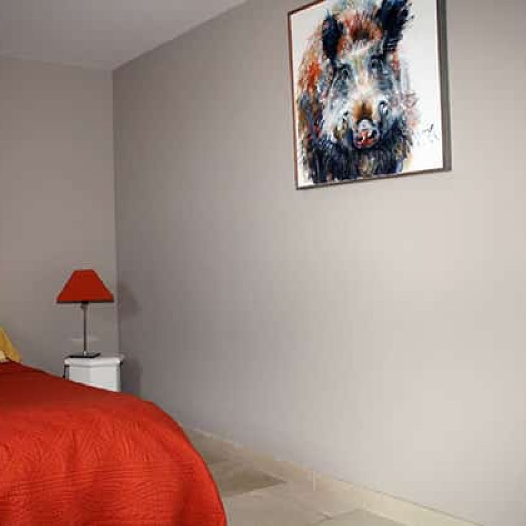 chambre_sanglier4